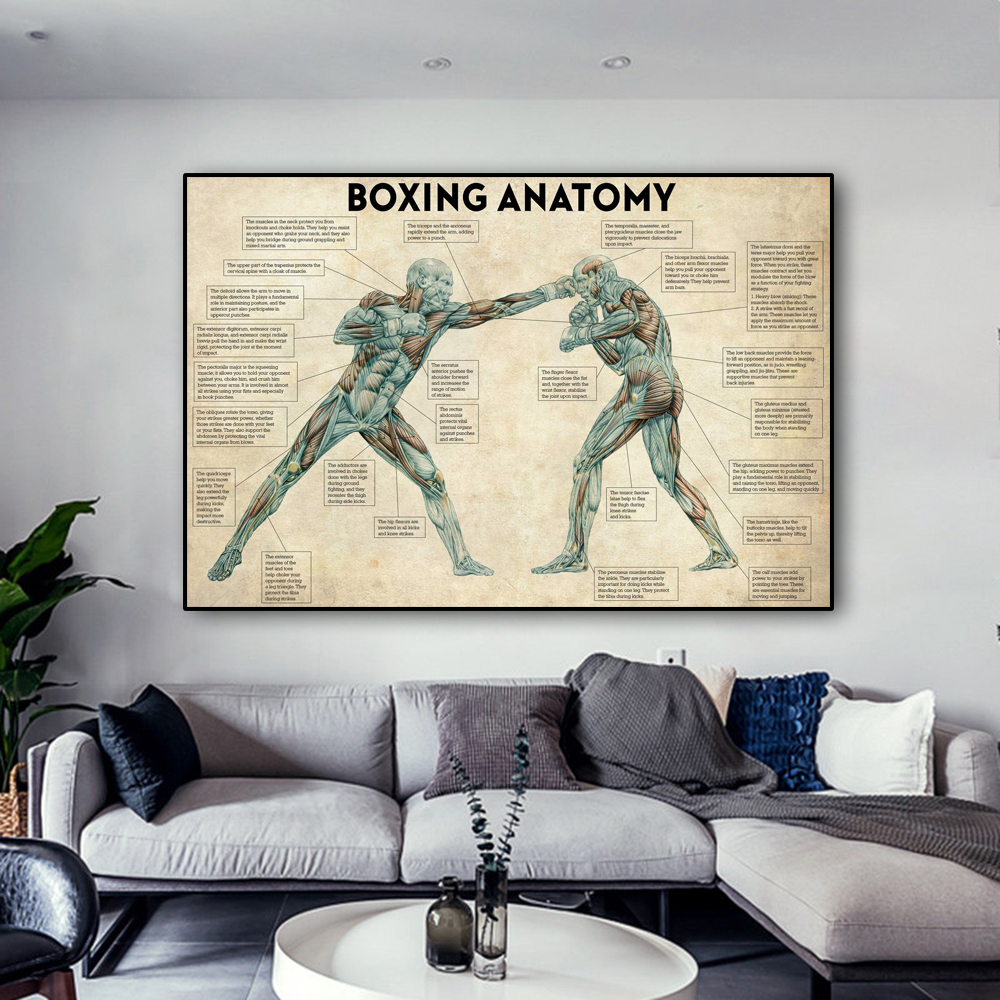 Vintage Boxing Body Anatomy Po – Sports Equipment Poster recenzja i cena