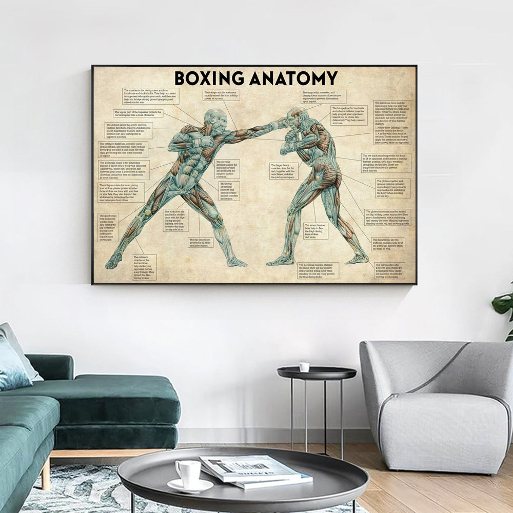 Vintage Boxing Body Anatomy Po – Sports Equipment Poster recenzja i cena