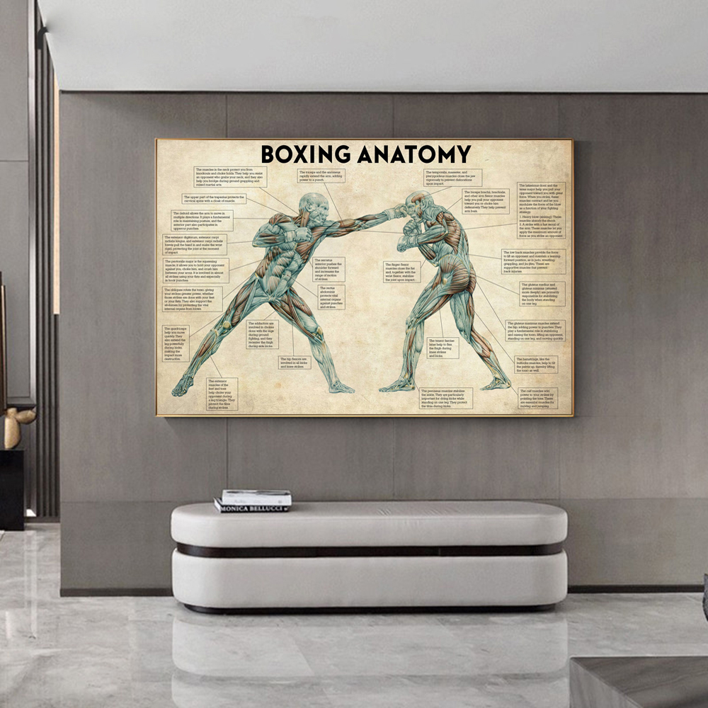 Vintage Boxing Body Anatomy Po – Sports Equipment Poster recenzja i cena