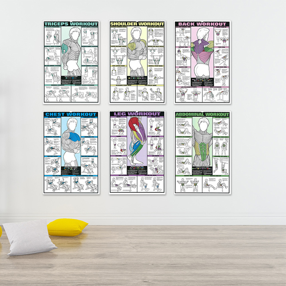 Workout Fitness Activities Van – Sports Equipment Poster recenzja i cena