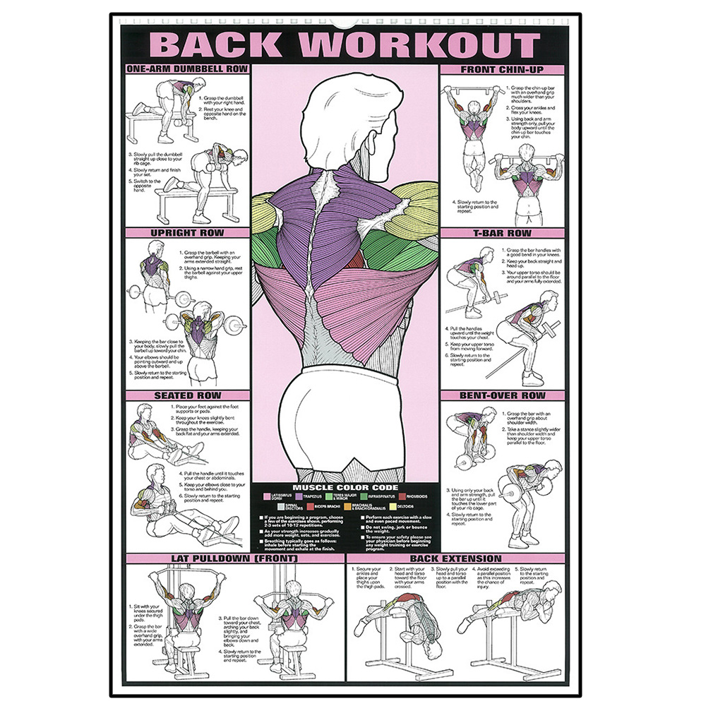 Workout Fitness Activities Van – Sports Equipment Poster recenzja i cena